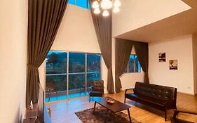 The Misty Penthouse